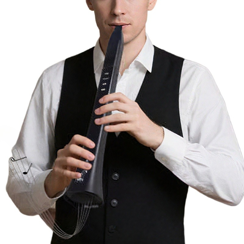 Draagbaar elektronisch blaasin - Musical Instrument ____ recensie en prijs