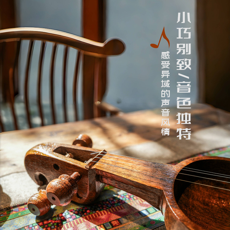 Nepalese salangi, alternatieve - Musical Instrument Groups recensie en prijs