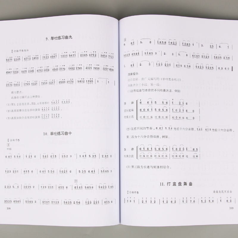Volwassen kinderen tieners Diz - Musical Instrument In Chinese recensie en prijs