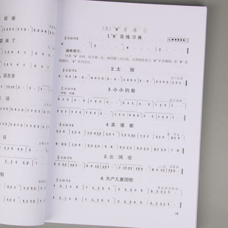 Volwassen kinderen tieners Diz - Musical Instrument In Chinese recensie en prijs